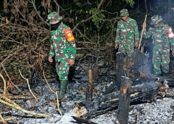 Koramil 1204-08/Meliau Berhasil Padamkan Empat Titik Karhutla Seluas 1,3 Hektare