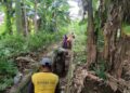 Babinsa dan Warga Gotong Royong Bersihkan Saluran Irigasi