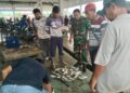 Babinsa Pantau Stabilitas Harga Ikan Laut di PPI Susoh