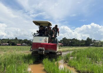 Akses Jalan 80 Persen Rampung, Petani di Lokasi TMMD Wiltas 129 Sumringah