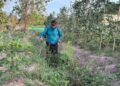 Petani Ingin Kedepan Ekonomi Meningkat, Akses Jalan kini sudah 80 Persen Rampung