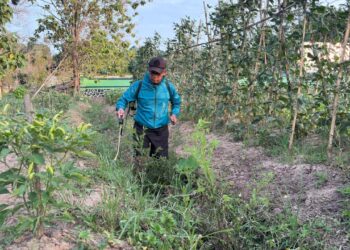Petani Ingin Kedepan Ekonomi Meningkat, Akses Jalan kini sudah 80 Persen Rampung