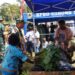UMKM Persit KCK Cabang XVI Ramaikan Penutupan TMMD Ke-129, Hasil Kebun Mama-Mama Sesor Jadi Produk Unggulan