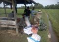 Dukung Ketahanan Pangan, Babinsa di Babahrot Dampingi Petani Pemupukan Padi