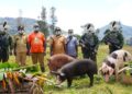Menembus Batas Alam Ugimba: Koops TNI Habema Hadirkan Kembali Negara di Bawah Kaki Gunung Cartenz Setelah 15 Tahun Terisolasi