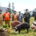 Menembus Batas Alam Ugimba: Koops TNI Habema Hadirkan Kembali Negara di Bawah Kaki Gunung Cartenz Setelah 15 Tahun Terisolasi