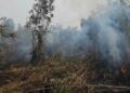 Asap Masih Mengepul, Satgas Darat Lanud Sjamsudin Noor Perkuat Pembasahan Lahan Gambut