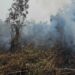 Asap Masih Mengepul, Satgas Darat Lanud Sjamsudin Noor Perkuat Pembasahan Lahan Gambut