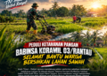 Dukung Swasembada Pangan, Babinsa Koramil 04/Peureulak Dampingi Petani Merontokkan Gabah Padi