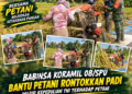 Dampingi Petani, Babinsa Koramil 04/Plk Cek Pertumbuhan Tanaman Cabai