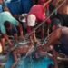 ‎MISI MENCARI NAFKAH BERUJUNG DUKA: TIGA NELAYAN GUGUR DI TENGAH PERJALANAN LAUT