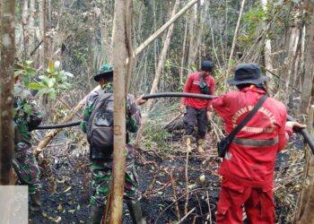 Cegah Api Kembali Muncul, Kodam XIX/Tuanku Tambusai Lanjutkan Pendinginan Karhutla Inhu