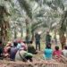 Cegah Karhutla Sejak Dini, Tim Satgas Sosialisasi di Wilayah Kodim 1209/Bengkayang