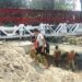 Jembatan Modular 20 Meter di Talun Saragih Hampir Rampung, Progres Capai 95,25%