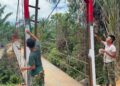 Jembatan Rusak Termakan Usia Dibangun, Akses Warga Paluta Segera Pulih