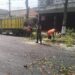 Antisipasi Pohon Tumbang Di Musim Pancaroba, Babinsa Sukorejo Bersinergi Dengan DLH Kota Blitar