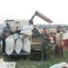 Kawal Ketahanan Pangan, Babinsa Koramil 04/LB Turun ke Sawah Dampingi Panen Warga Desa Sei Pelancang