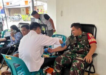 Setetes Darah, Sejuta Harapan: Aksi Humanis Babinsa Koramil 04/Labuhanbilik untuk Warga