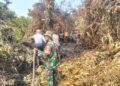 Kodam XIX/Tuanku Tambusai Lanjutkan Pendinginan Karhutla 10 Hektare di Tembilahan