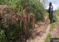 Patroli Karhutla di Parbuluan III, Babinsa Pastikan Tak Ada Titik Api dan Ingatkan Warga Soal Bahaya Membakar Lahan