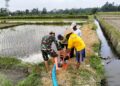 Jaga Ketahanan Pangan, Babinsa Kedawung Turun Ke Sawah Bantu Petani Sedot Air