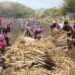 Puslatpurmar 7 Lampon Gelar Aksi Bersih Pantai “Aku Cinta Laut” Sambut HUT ke-81 TNI AL