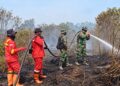 Pangdam XIX/TT dan Kapolda Riau Turun ke Lokasi Karhutla, Pencegahan Titik Api Diperkuat