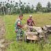 Turun Ke Lumpur Bersama Warga, Aksi Babinsa Koramil 21/Paya Bakong Operasikan Traktor
