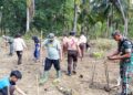 HUT ke-81 TNI, Koramil 0806-11/Panggul Tanam Mangrove di Pantai Kili-Kili