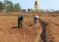 Dukung Ketahanan Pangan Nasional, Babinsa Selorejo Dampingi Petani Siapkan Lahan Tanam Jagung di Desa Boro