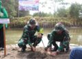 Kodim Tulungagung Tanam Mangrove di Pantai Bayem