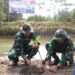 Kodim Tulungagung Tanam Mangrove di Pantai Bayem