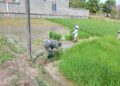 Babinsa Turun ke Sawah, Bantu Petani Cabut dan Pindahkan Bibit Padi