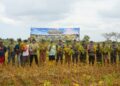 Komandan Kodaeral XI Panen Raya Kedelai, Tegaskan Komitmen TNI AL Dukung Ketahanan Pangan di Papua Selatan