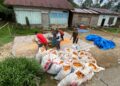 Bukan Sekadar Membantu Panen, Babinsa Koramil 06/Kerajaan Dukung Petani Jagung Perkuat Ketahanan Pangan
