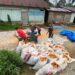 Bukan Sekadar Membantu Panen, Babinsa Koramil 06/Kerajaan Dukung Petani Jagung Perkuat Ketahanan Pangan