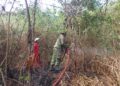 Kebakaran Lahan 1,5 Hektare di Kota Banjar Berhasil Dipadamkan, Tidak Ada Korban Jiwa