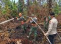 Kodam XIX/Tuanku Tambusai Perkuat Penanganan Karhutla, Tim Gabungan Fokus Cegah Api Muncul Kembali