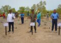 Tanam 1.000 Mangrove di Pantai Payum, Pangdam XXIV/MT: Rawat Alam, Jaga Masa Depan Papua Selatan
