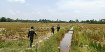 Kodim 0209/Labuhanbatu Gencarkan Mitigasi Karhutla, Hotspot Nihil