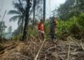 Karhutla di Simalungun dan Pematangsiantar Nihil, Patroli Terus Dilakukan