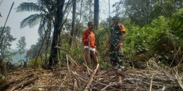 Karhutla di Simalungun dan Pematangsiantar Nihil, Patroli Terus Dilakukan