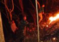 Aksi Sigap Babinsa Dan Warga Padamkan Kebakaran Hutan Jati Di Pagerwojo Blitar