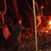 Aksi Sigap Babinsa Dan Warga Padamkan Kebakaran Hutan Jati Di Pagerwojo Blitar