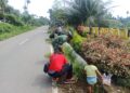 BABINSA SERKA DERMAWAN MELAKSANAKAN GOTONG ROYONG BERSAMA PERANGKAT DESA DAN MASYARAKAT DESA LUBANG IDO