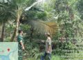 Cegah Karhutla, Babinsa Koramil 06/Senayang Bersama Ketua RT Patroli Wilayah Desa Mamut