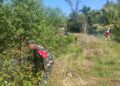 Cegah Kebakaran Lahan, Babinsa Koramil Susoh Bantu Warga Bersihkan Semak Belukar