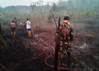 Respons Cepat Karhutla Dekat IKN, TNI Gerakkan Helikopter Caracal untuk Water Bombing