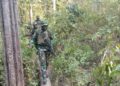Pasukan Airborne SGS 2026 Laksanakan Operasi Lanjutan Dalam Materi Jungle FTX