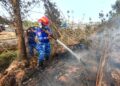 Siang Hingga Dini Hari, Satgas Karhutla Lanud Sjamsudin Noor Terus Bergerak, Terjang Padamkan Api di Lahan Gambut